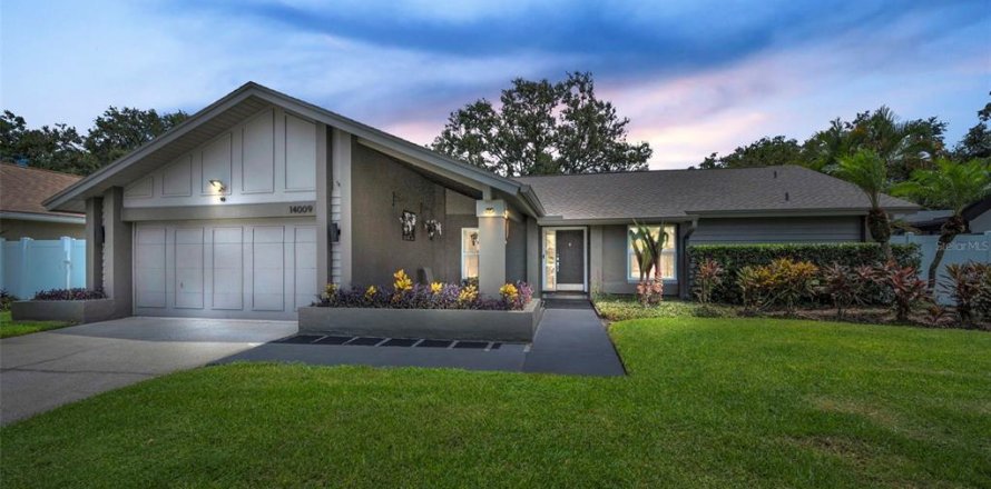 Villa ou maison à Tampa, Floride 5 chambres, 220.64 m2 № 1906202