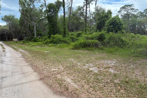 Land in Ocklawaha, Florida № 2159867 - photo 2