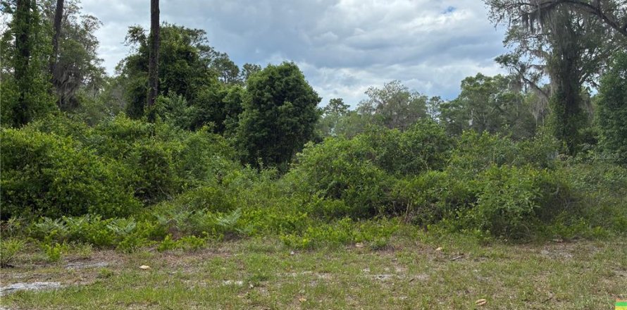 Land in Ocklawaha, Florida № 2159867