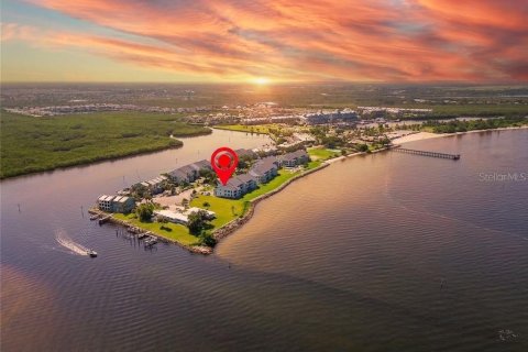 Copropriété à vendre à Ruskin, Floride: 2 chambres, 101.73 m2 № 2318744 - photo 2