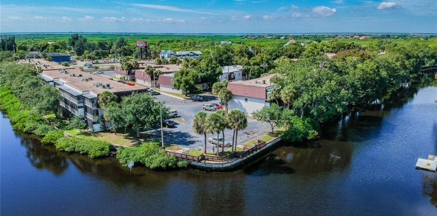 Condo à Tampa, Floride, 1 chambre № 1858180