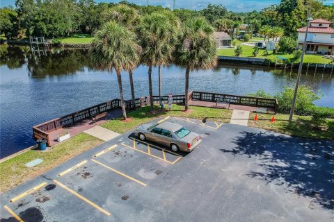 Condominio en alquiler en Tampa, Florida, 1 dormitorio, 70.61 m2 № 1858180 - foto 6
