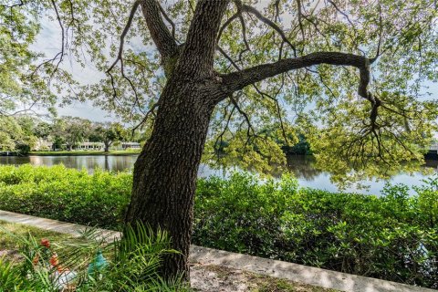 Copropriété à louer à Tampa, Floride: 1 chambre, 70.61 m2 № 1858180 - photo 3