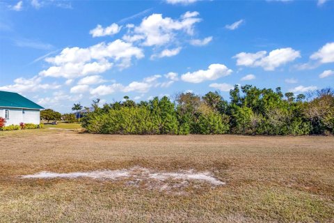 Land in Punta Gorda, Florida № 2118353 - photo 4