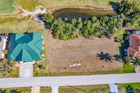Land in Punta Gorda, Florida № 2118353 - photo 9