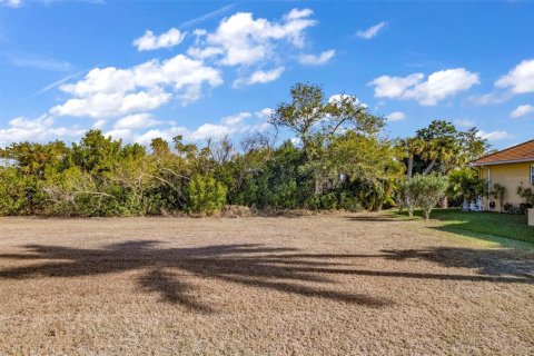 Land in Punta Gorda, Florida № 2118353 - photo 5
