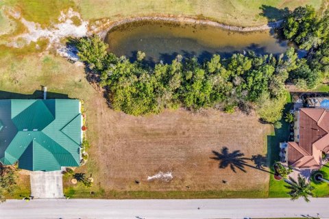 Land in Punta Gorda, Florida № 2118353 - photo 10