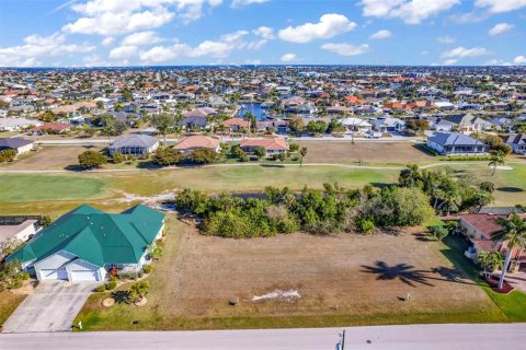 Land in Punta Gorda, Florida № 2118353 - photo 8