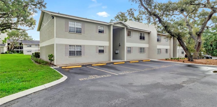Condo à Tampa, Floride, 2 chambres  № 2196215