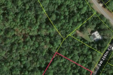 Land in Dunnellon, Florida № 2273279 - photo 4