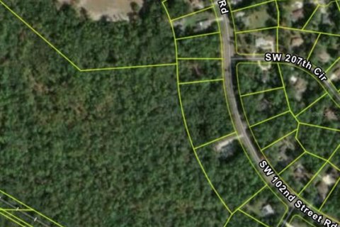 Land in Dunnellon, Florida № 2273279 - photo 5