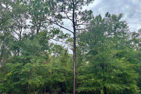 Land in Dunnellon, Florida № 2273279 - photo 3