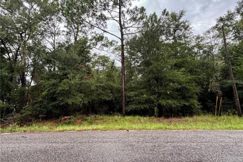 Terrain à Dunnellon, Floride № 2273279