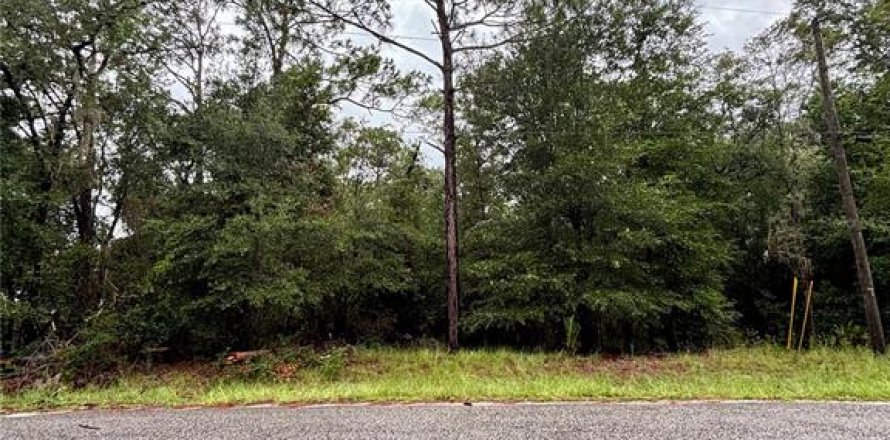 Land in Dunnellon, Florida № 2273279