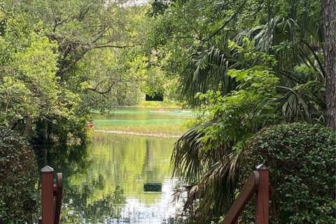 Land in Dunnellon, Florida № 2273279 - photo 18