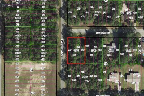Land in Inverness, Florida № 2369177