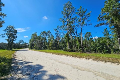 Land in Williston, Florida № 2347178