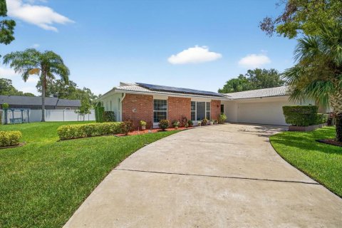 House in Dunedin, Florida 3 bedrooms, 165.46 sq.m. № 1851283 - photo 1