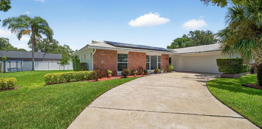 House in Dunedin, Florida 3 bedrooms, 165.46 sq.m. № 1851283