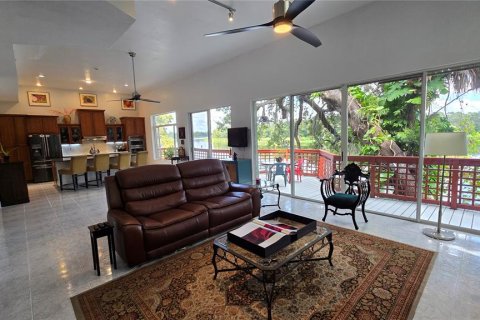 House in Tampa, Florida 6 bedrooms, 302.95 sq.m. № 2213720 - photo 7