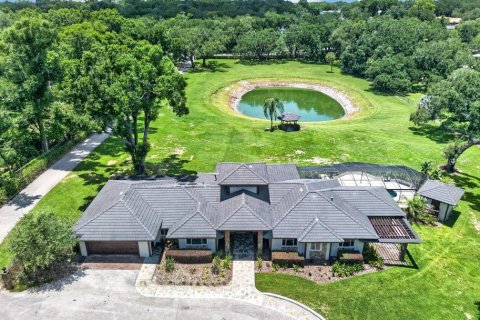 Villa ou maison à vendre à Brandon, Floride: 4 chambres, 370.03 m2 № 2147676 - photo 4