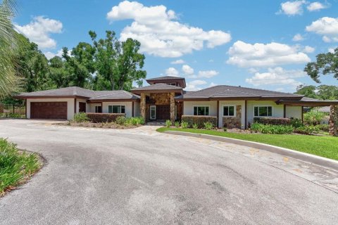 Villa ou maison à Brandon, Floride 4 chambres, 370.03 m2 № 2147676