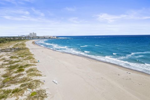 Villa ou maison à vendre à Palm Beach, Floride: 5 chambres, 382.11 m2 № 2418276 - photo 25
