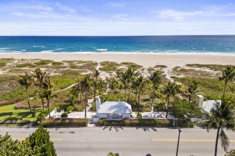 Villa ou maison à vendre à Palm Beach, Floride: 5 chambres, 382.11 m2 № 2418276 - photo 21