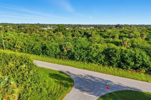Land in Port Charlotte, Florida № 2162159 - photo 17
