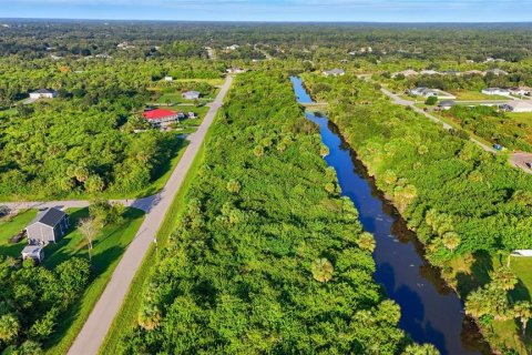 Land in Port Charlotte, Florida № 2162159 - photo 2
