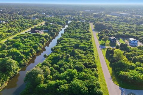 Land in Port Charlotte, Florida № 2162159 - photo 10