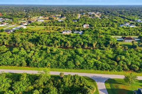 Land in Port Charlotte, Florida № 2162159 - photo 6
