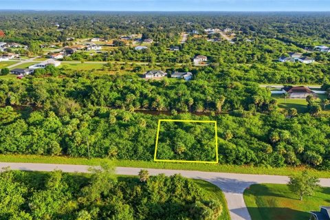 Land in Port Charlotte, Florida № 2162159 - photo 5