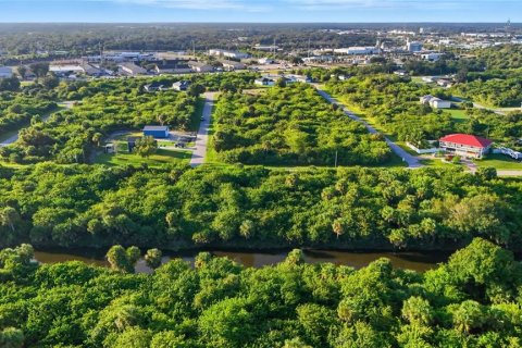 Land in Port Charlotte, Florida № 2162159 - photo 14