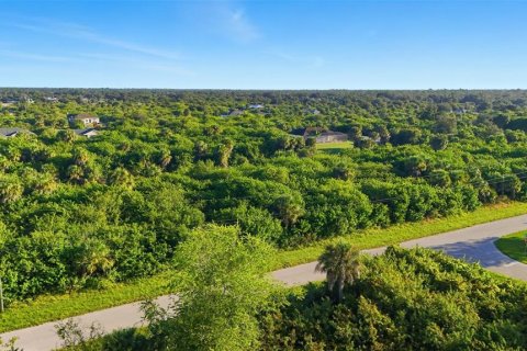 Land in Port Charlotte, Florida № 2162159 - photo 19