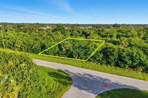 Land in Port Charlotte, Florida № 2162159 - photo 18