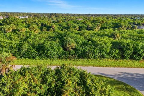 Land in Port Charlotte, Florida № 2162159 - photo 16