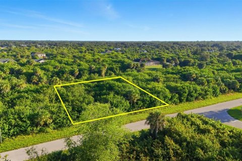 Land in Port Charlotte, Florida № 2162159 - photo 20