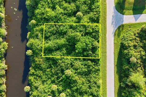 Land in Port Charlotte, Florida № 2162159 - photo 3