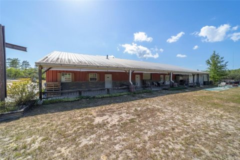 House in Morriston, Florida 5 bedrooms, 571.35 sq.m. № 1553443 - photo 11