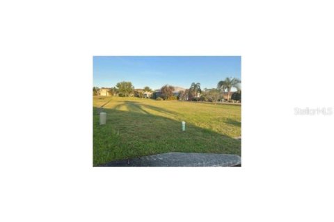 Land in Polk City, Florida № 1581895 - photo 2
