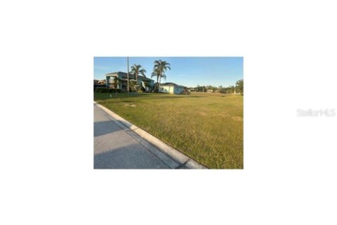 Land in Polk City, Florida № 1581895 - photo 3