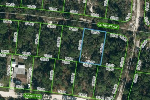 Land in Lake Placid, Florida № 2236107