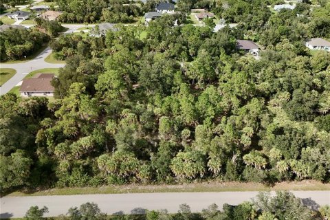 Land in Port Charlotte, Florida № 2396235 - photo 19