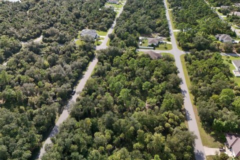 Land in Port Charlotte, Florida № 2396235 - photo 27