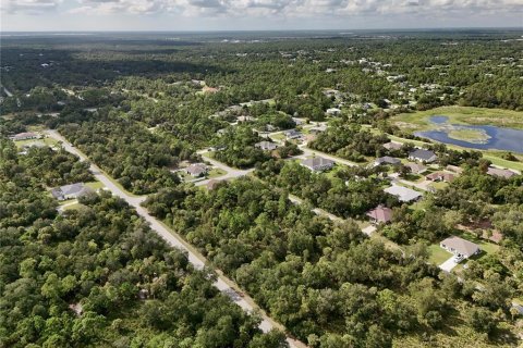 Land in Port Charlotte, Florida № 2396235 - photo 4