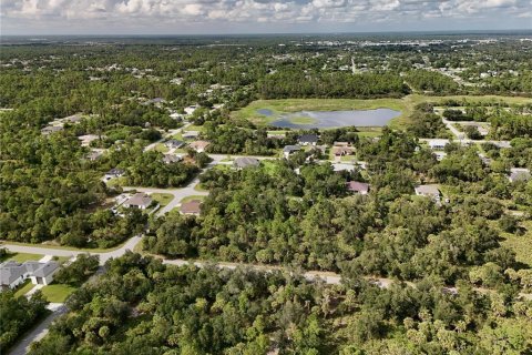 Land in Port Charlotte, Florida № 2396235 - photo 29