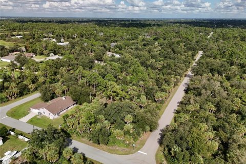 Land in Port Charlotte, Florida № 2396235 - photo 15