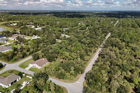 Land in Port Charlotte, Florida № 2396235 - photo 14