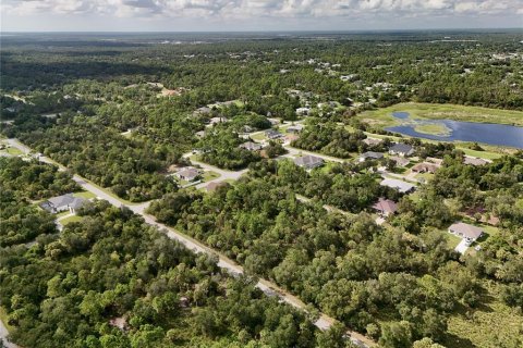 Land in Port Charlotte, Florida № 2396235 - photo 10